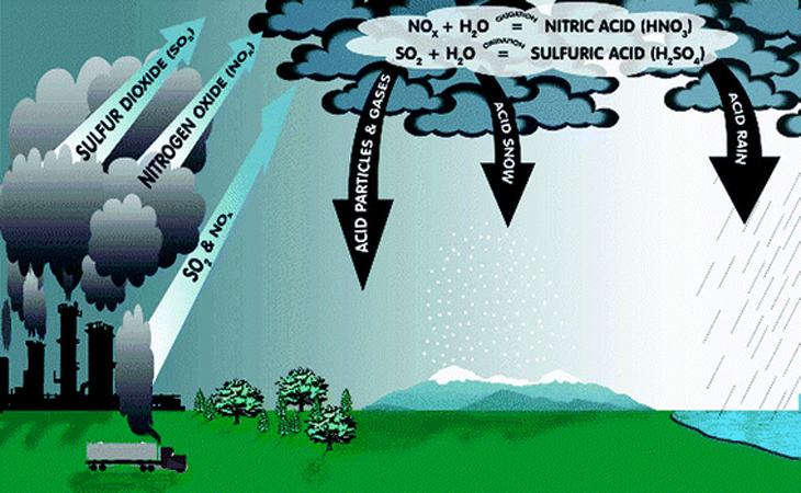 Các chất ô nhiễm có trong khí quyển bao gồm các khí như NO 2, NH 3, H 2 S.