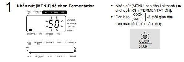 Chức năng lên men – Fermentation ở nồi cơm điện Toshiba để làm gì ? Hướng dẫn cách sử dụng chức năng Fermentation