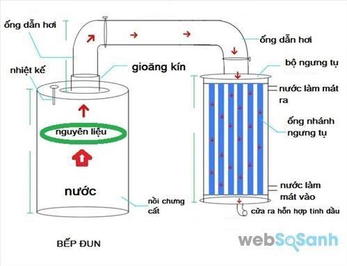 Quy trình chưng cất tinh dầu sả chanh nguyên chất