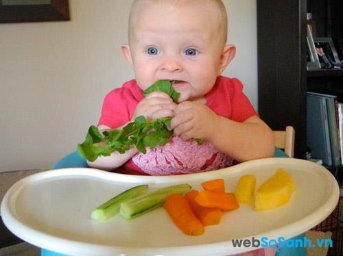 Phương pháp ăn dặm cho ” bé tự chỉ huy ” BLW-Baby Led Weaning