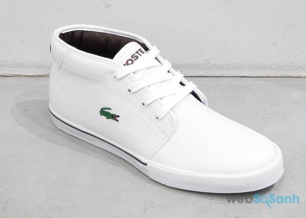 5 điều cần lưu ý để đôi giày Lacoste của bạn luôn bền đẹp