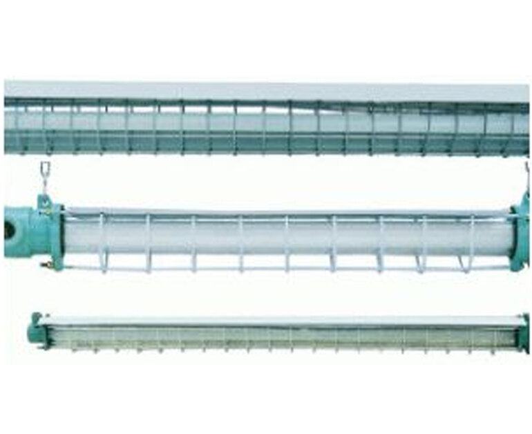 Đèn chống cháy nổ PARAGON 2 bóng 1M2