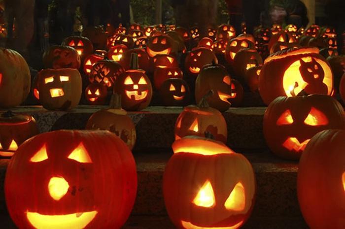 Biểu tượng ban đầu của Halloween là ... củ cải