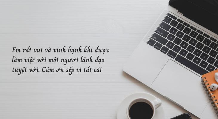 Cám ơn về công việc của bạn