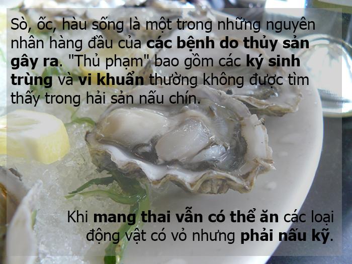 Động vật có vỏ sống