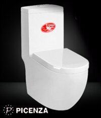 Picenza PZ8132 toilet