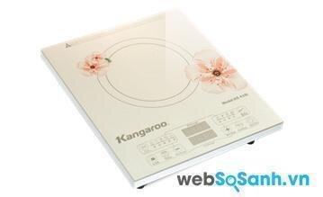 Kangaroo KG418i