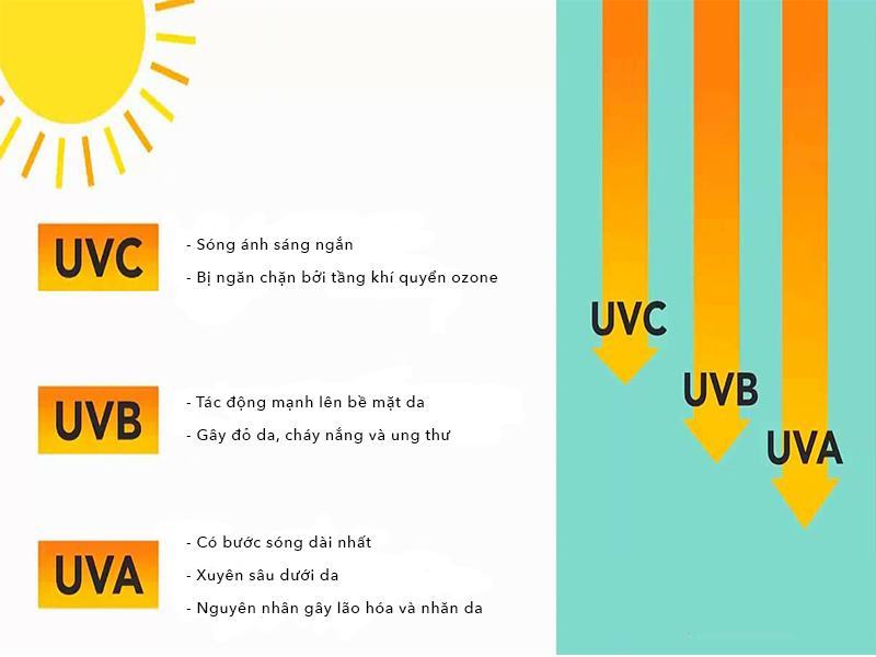 Khi nói đến tác động của tia UV đối với sức khỏe con người và môi trường, tia UV được chia thành ba loại