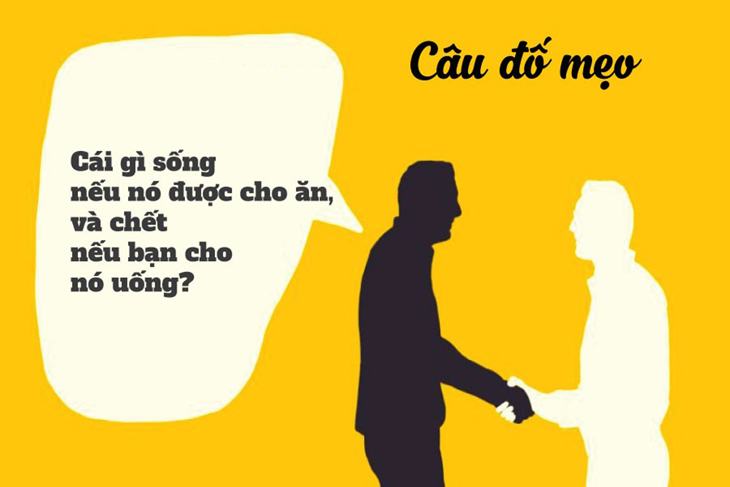 Một bộ sưu tập các mẹo và thủ thuật chặt chẽ não để thử thách chỉ số IQ của bạn