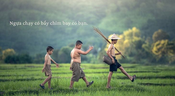 Châm ngôn xã hội