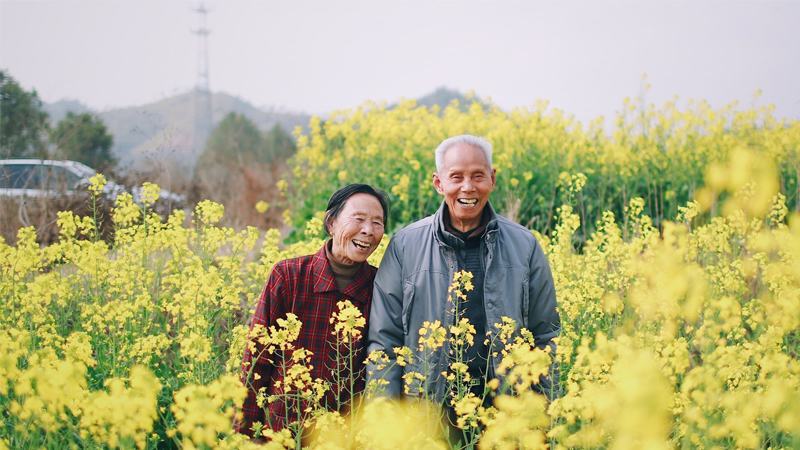 Tài năng của ông bà