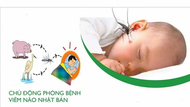 Bệnh viêm não Nhật Bản