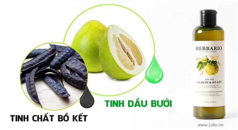 Thuốc mọc tóc chắc khỏe và dầu gội bưởi & thạch herbario